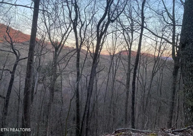 Photo 4 of Land for sale at 36 Elderberry Dr, Sevierville, TN 37876 | MLS# 3598252 | Listing updated on 2026-09-23