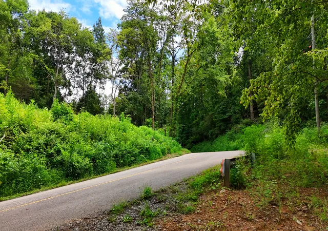 Photo 3 of Land for sale at 0 Sulphur Crk Rd, Nashville, TN 37218 | MLS# 3598956 | Listing updated on 2026-10-01