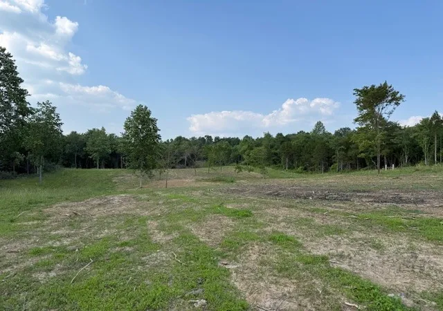 Land for sale at 0 Roy Foster Rd, McMinnville, TN 37110 | MLS# 3598378