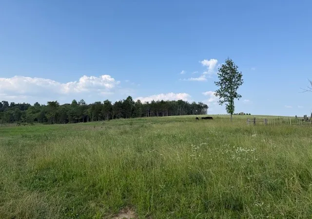 Photo 3 of Land for sale at 0 Roy Foster Rd, Mc Minnville, TN 37110 | MLS# 3598378 | Listing updated on 2026-09-24