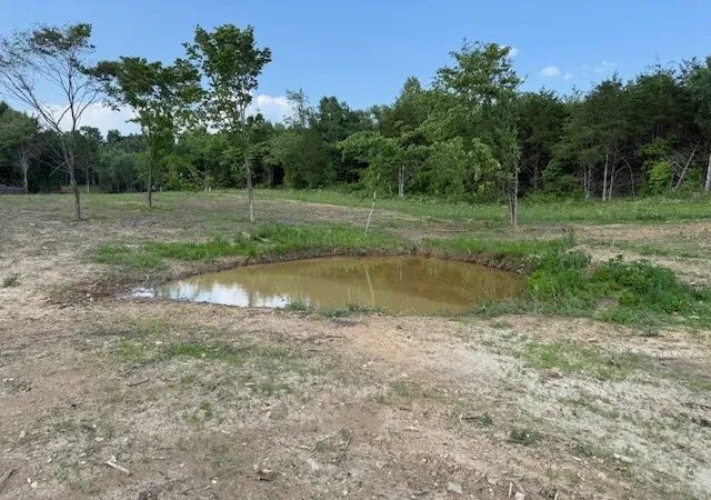 Photo 1 of Land for sale at 0 Roy Foster Rd, Mc Minnville, TN 37110 | MLS# 3598378 | Listing updated on 2026-09-24