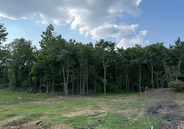 Photo 4 of Land for sale at 0 Roy Foster Rd, Mc Minnville, TN 37110 | MLS# 3598378 | Listing updated on 2026-09-24