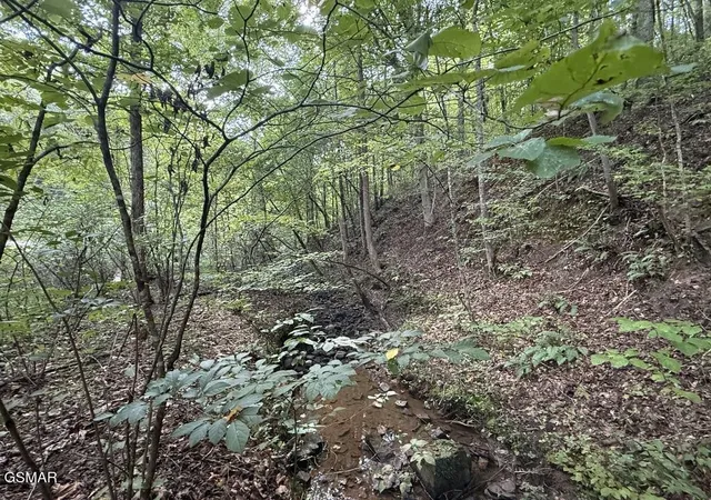 Photo 3 of Land for sale at 1314 Speedwell Chuch Rd, Bulls Gap, TN 37711 | MLS# 3598508 | Listing updated on 2026-09-25