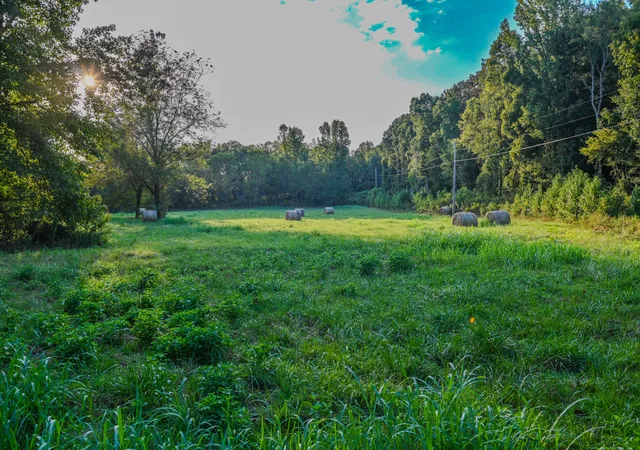 Photo 3 of Land for sale at 0 Dixon Rd, Iron City, TN 38463 | MLS# 3598539 | Listing updated on 2026-10-02