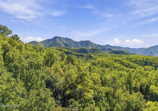Land for sale at 910 Windy Hl Way, Cosby, TN 37722 | MLS# 3598533