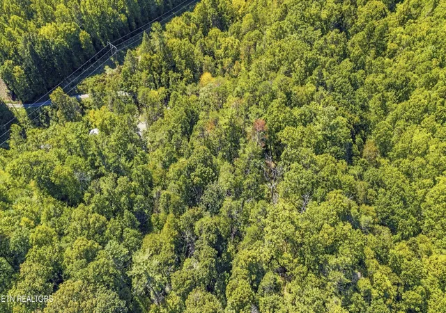 Photo 3 of Land for sale at 910 Windy Hl Way, Cosby, TN 37722 | MLS# 3598533 | Listing updated on 2026-09-29