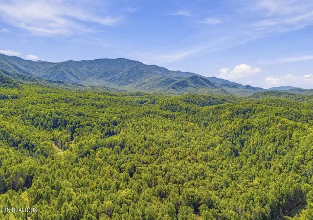 Photo 4 of Land for sale at 910 Windy Hl Way, Cosby, TN 37722 | MLS# 3598533 | Listing updated on 2026-09-29