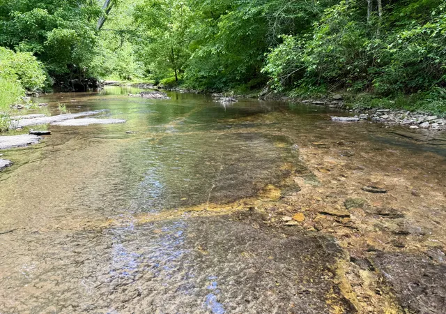 Photo 1 of Land for sale at 0 W Hunt Holw Rd, Westpoint, TN 38486 | MLS# 3598636 | Listing updated on 2026-09-24