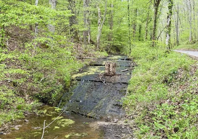 Photo 25 of Land for sale at 0 W Hunt Holw Rd, Westpoint, TN 38486 | MLS# 3598636 | Listing updated on 2026-09-24