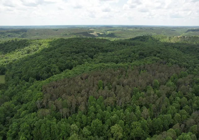 Photo 3 of Land for sale at 0 W Hunt Holw Rd, Westpoint, TN 38486 | MLS# 3598636 | Listing updated on 2026-09-24