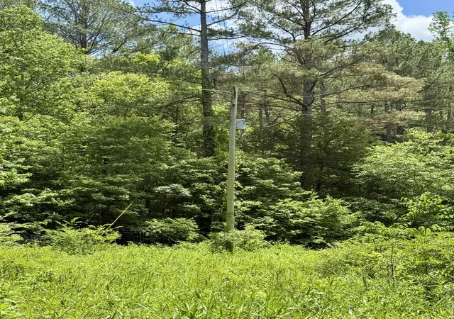 Photo 4 of House for sale at 0 W Hunt Holw Rd, Westpoint, TN 38486 | MLS# 3598636 | Listing updated on 2026-09-24