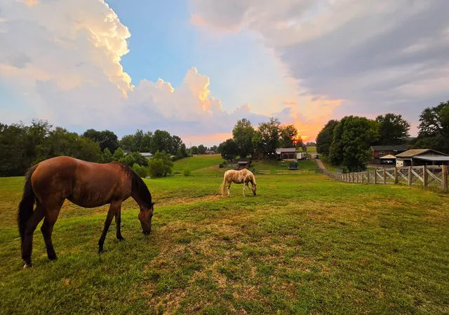Photo 1 of Land for sale at 175 Bettis Rd, Lebanon, TN 37090 | MLS# 3598817 | Listing updated on 2026-09-24