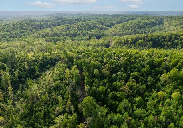 Photo 3 of Land for sale at 664 Russ Valley Rd, Lobelville, TN 37097 | MLS# 3598670 | Listing updated on 2026-09-25