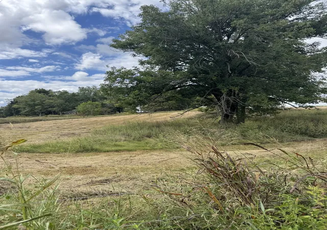 Photo 3 of Land for sale at 201 Perrigo Ln, Lafayette, TN 37083 | MLS# 3598795 | Listing updated on 2026-09-24