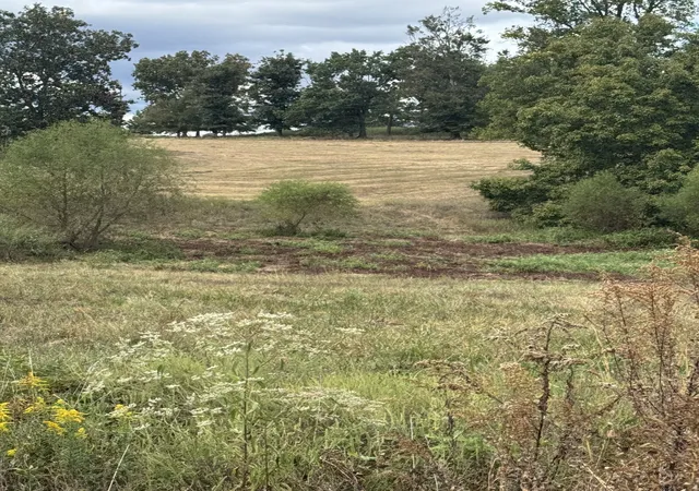 Photo 3 of Land for sale at 201 Perrigo Ln, Lafayette, TN 37083 | MLS# 3598795 | Listing updated on 2026-09-24