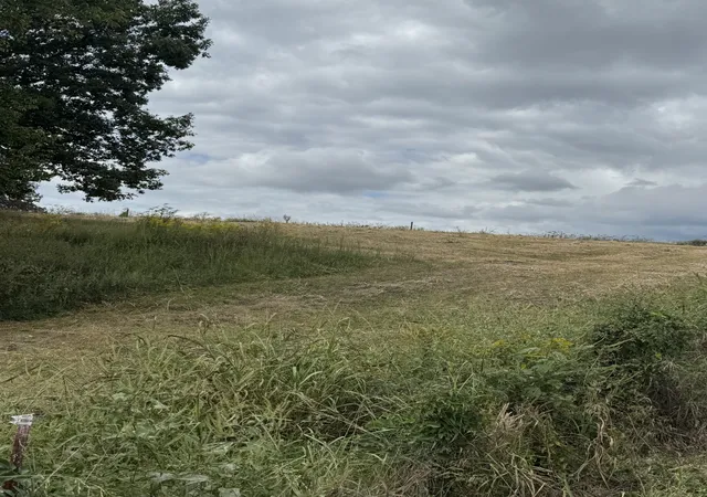 Photo 4 of Land for sale at 201 Perrigo Ln, Lafayette, TN 37083 | MLS# 3598795 | Listing updated on 2026-09-24