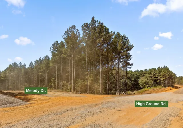 Photo 3 of Land for sale at 2055 Melody Dr, Guild, TN 37340 | MLS# 3598748 | Listing updated on 2026-09-24