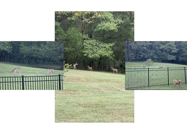 Photo 43 of Single family home for sale at 146 Dyer Branch Rd, Gordonsville, TN 38563 | MLS# 3598925 | Listing updated on 2026-10-09