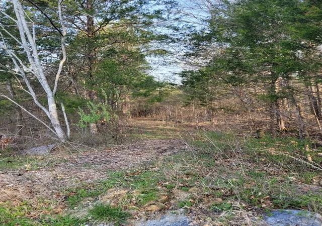Photo 1 of Land for sale at 0 Greenfield Ests Dr, Culleoka, TN 38451 | MLS# 3599278 | Listing updated on 2026-09-26