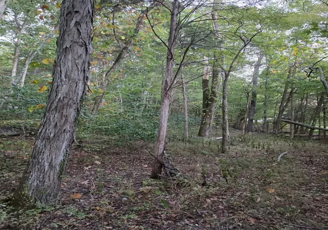 Photo 2 of Land for sale at 0 Greenfield Ests Dr, Culleoka, TN 38451 | MLS# 3599278 | Listing updated on 2026-09-26
