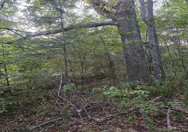 Photo 3 of Land for sale at 0 Greenfield Ests Dr, Culleoka, TN 38451 | MLS# 3599278 | Listing updated on 2026-09-26