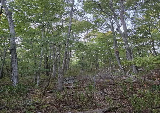 Photo 3 of Land for sale at 0 Greenfield Ests Dr, Culleoka, TN 38451 | MLS# 3599278 | Listing updated on 2026-09-26