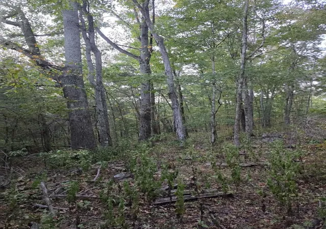Photo 4 of Land for sale at 0 Greenfield Ests Dr, Culleoka, TN 38451 | MLS# 3599278 | Listing updated on 2026-09-26