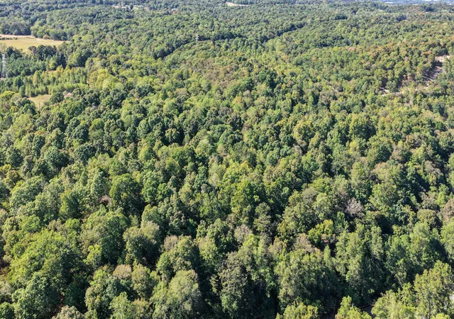 Photo 2 of Land for sale at 0 Teal Holw Rd, Kelso, TN 37348 | MLS# 3603552 | Listing updated on 2026-10-05