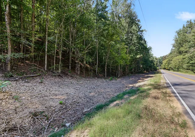 Photo 3 of Land for sale at 0 Teal Holw Rd, Kelso, TN 37348 | MLS# 3603552 | Listing updated on 2026-10-05