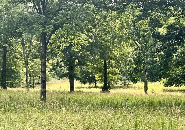 Photo 4 of Land for sale at 6456 Arno College Grv Rd, College Grove, TN 37046 | MLS# 3599333 | Listing updated on 2026-09-25