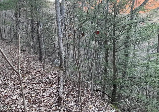 Photo 1 of Land for sale at 35 Elderberry Dr, Sevierville, TN 37876 | MLS# 3598859 | Listing updated on 2026-09-24