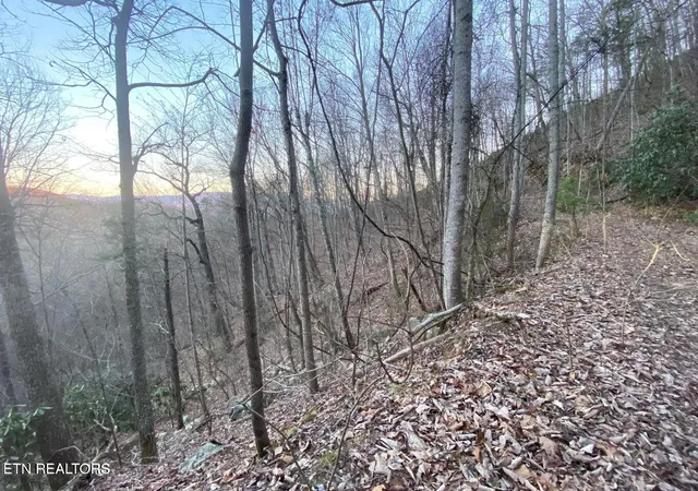 Photo 2 of Land for sale at 35 Elderberry Dr, Sevierville, TN 37876 | MLS# 3598859 | Listing updated on 2026-09-24