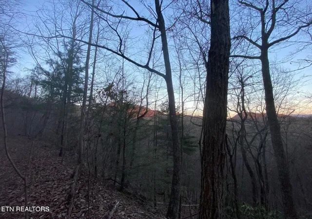 Photo 3 of Land for sale at 35 Elderberry Dr, Sevierville, TN 37876 | MLS# 3598859 | Listing updated on 2026-09-24