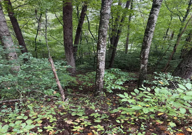Photo 2 of Land for sale at 0 Little Wolfcreek Rd, Murphy, NC 28906 | MLS# 3598959 | Listing updated on 2026-09-24