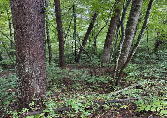 Photo 3 of Land for sale at 0 Little Wolfcreek Rd, Murphy, NC 28906 | MLS# 3598959 | Listing updated on 2026-09-24