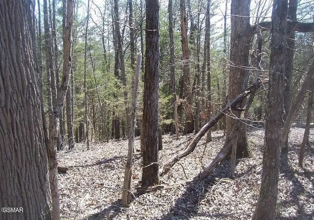 Photo 3 of Land for sale at 4 Flat Crk Rd, Sevierville, TN 37876 | MLS# 3599044 | Listing updated on 2026-09-24