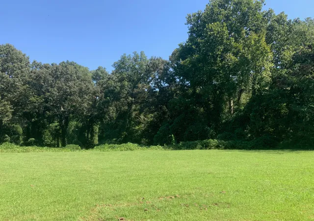 Photo 1 of Land for sale at 0 Spinks Clay Rd, Puryear, TN 38251 | MLS# 3599153 | Listing updated on 2026-09-25