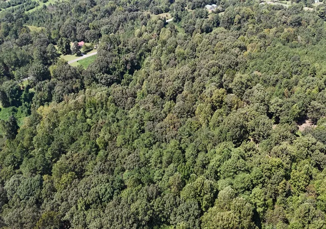 Photo 21 of Land for sale at 0 Spinks Clay Rd, Puryear, TN 38251 | MLS# 3599153 | Listing updated on 2026-09-25