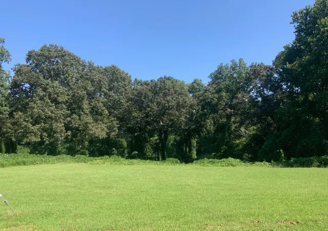 Photo 4 of Land for sale at 0 Spinks Clay Rd, Puryear, TN 38251 | MLS# 3599153 | Listing updated on 2026-09-25