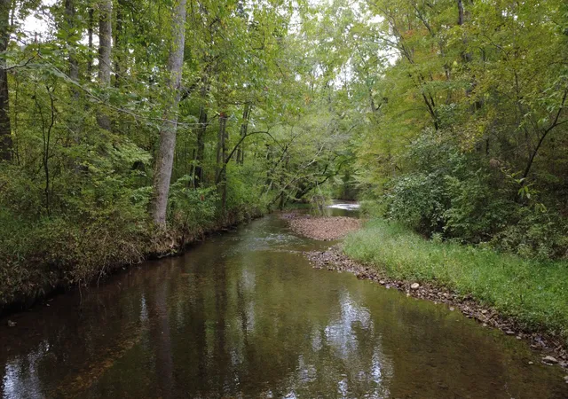 Photo 1 of Land for sale at 0 Grinders Crk Rd, Hohenwald, TN 38462 | MLS# 3601434 | Listing updated on 2026-09-27