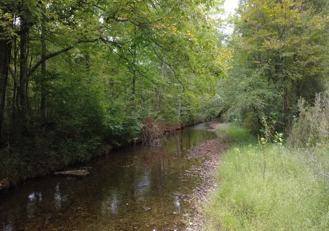 Photo 2 of Land for sale at 0 Grinders Crk Rd, Hohenwald, TN 38462 | MLS# 3601434 | Listing updated on 2026-09-27