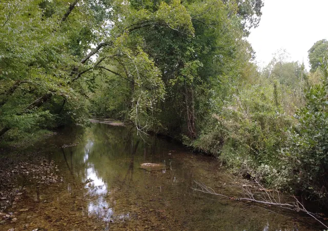 Photo 3 of Land for sale at 0 Grinders Crk Rd, Hohenwald, TN 38462 | MLS# 3601434 | Listing updated on 2026-09-27