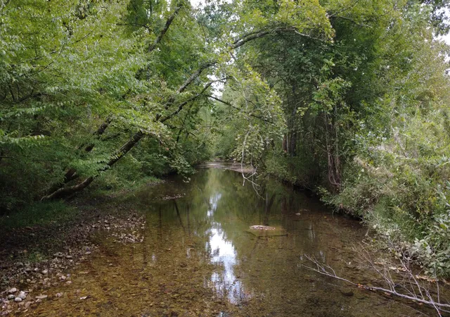 Photo 4 of Land for sale at 0 Grinders Crk Rd, Hohenwald, TN 38462 | MLS# 3601434 | Listing updated on 2026-09-27