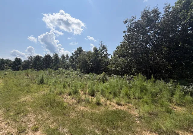 Photo 3 of Land for sale at 0 Black Bear Trl, Linden, TN 37096 | MLS# 3599095 | Listing updated on 2026-09-25