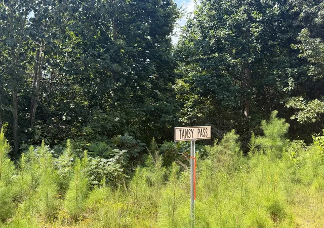 Photo 3 of Land for sale at 0 Black Bear Trl, Linden, TN 37096 | MLS# 3599095 | Listing updated on 2026-09-25