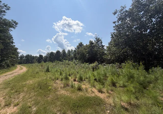 Photo 4 of Land for sale at 0 Black Bear Trl, Linden, TN 37096 | MLS# 3599095 | Listing updated on 2026-09-25