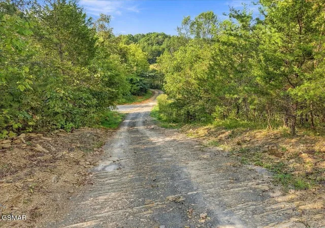 Photo 3 of Land for sale at 0 Green Rd, Bulls Gap, TN 37711 | MLS# 3599098 | Listing updated on 2026-09-28