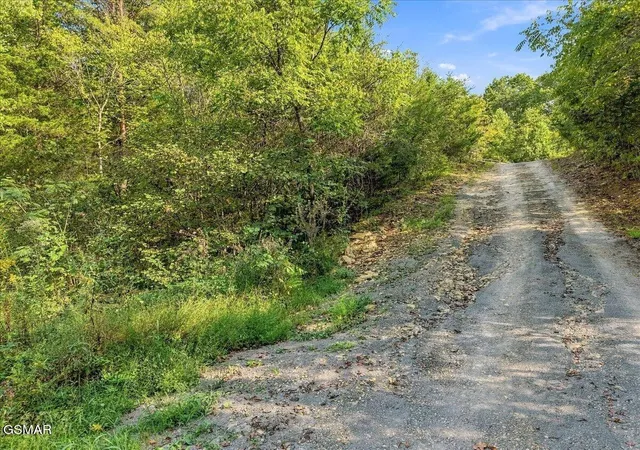Photo 3 of Land for sale at 0 Green Rd, Bulls Gap, TN 37711 | MLS# 3599098 | Listing updated on 2026-09-28
