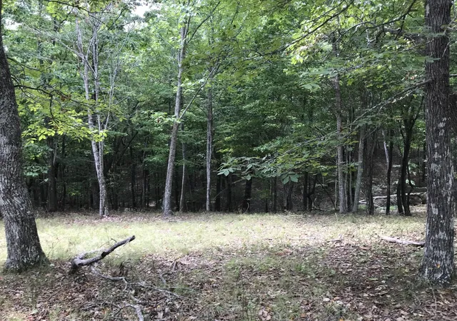 Photo 1 of Land for sale at 103 Bluffview Dr, Dunlap, TN 37327 | MLS# 3599159 | Listing updated on 2026-09-25