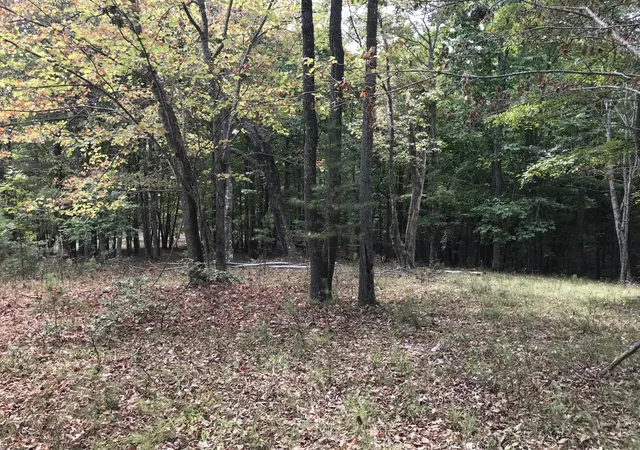 Photo 2 of Land for sale at 103 Bluffview Dr, Dunlap, TN 37327 | MLS# 3599159 | Listing updated on 2026-09-25
